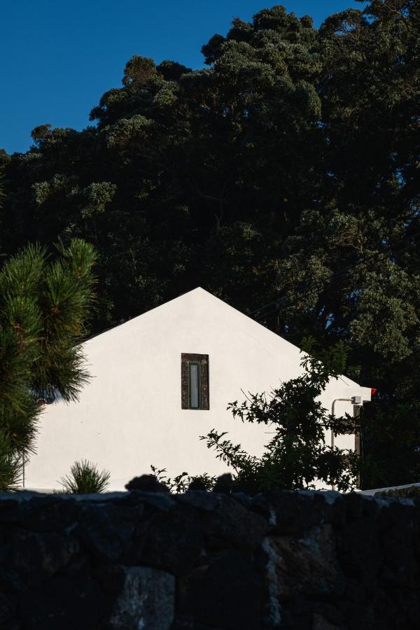 Entre Muros - Turismo Rural - Casa Com Jardim E Acesso Direto Ao Mar Ribeira Grande Buitenkant foto